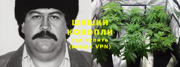 2c-b Лабытнанги